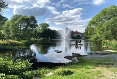 bildergalerie image 29